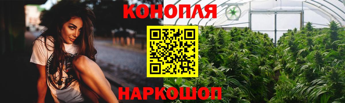 Канабис сатива Дагестанские Огни